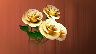  Video Background Animations, Lily, Flower, Rose, Roses, Food