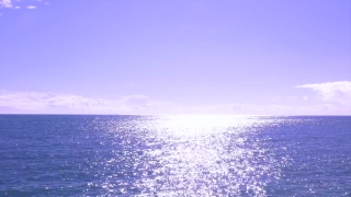  Video, Ocean, Sea, Body Of Water, Water, Beach