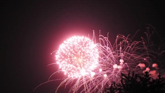 3d Video Backgrounds, Firework, Explosive, Fireworks, Night, Festival