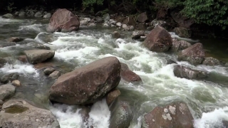 80s Stock Footage, River, Water, Spring, Stream, Rock