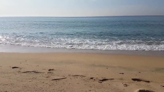 African American Stock Footage, Sand, Beach, Ocean, Sea, Sandbar