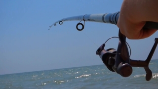 B Roll Video, Reel, Winder, Mechanical Device, Fishing Gear, Gear