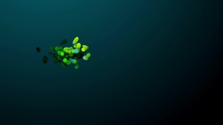 Background For Intro, Light, Design, Clover, Glow, Shiny