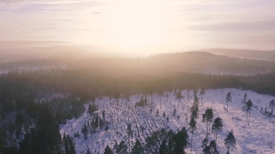Background For Video, Range, Snow, Mountain, Landscape, Forest