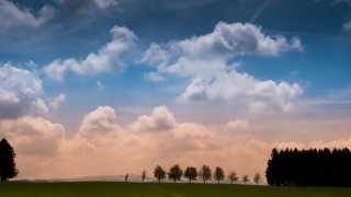Background Loops, Sky, Atmosphere, Meadow, Grass, Field