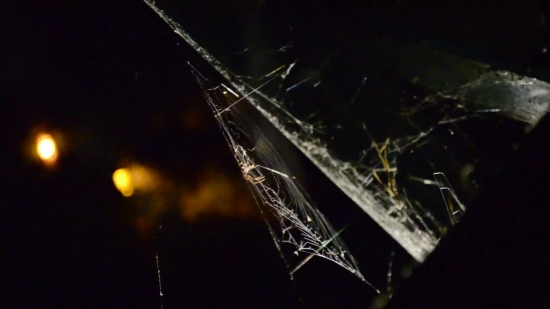 Background Music For Video, Spider Web, Cobweb, Web, Black, Night