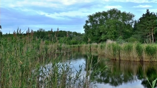 Balloon Green Screen Video Download, Swamp, Wetland, Land, Lake, Water