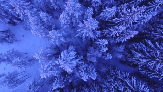 Best Video Background, Ice, Crystal, Negative, Pattern, Texture
