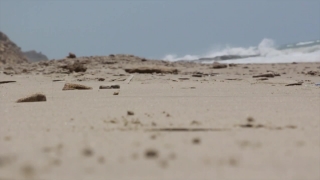 Blackbox Stock Footage Reddit, Sand, Dune, Soil, Beach, Desert