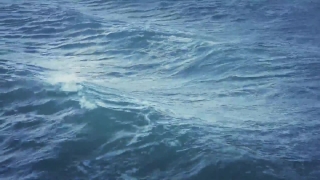 Car Stock Footage, Ocean, Sea, Body Of Water, Water, Baleen Whale