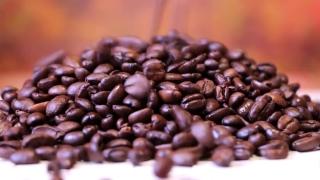 Common Bean, Coffee, Bean, Beans, Caffeine, Black Bean