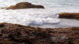 Computer Animation Video, Ocean, Body Of Water, Sea, Promontory, Beach