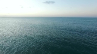 Confetti Video Transparent, Sea, Ocean, Body Of Water, Beach, Water