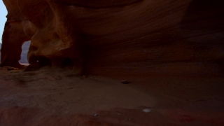 Cricket Stock Footage, Sand, Parquet, Soil, Canyon, Earth