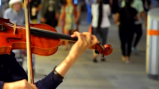 Download Video Cinematic No Copyright, Violin, Bowed Stringed Instrument, Stringed Instrument, Musical Instrument, Cello
