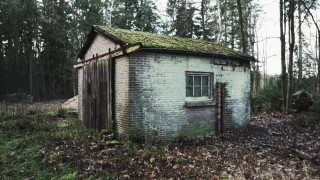 Elephant Green Screen Video Download, Hovel, Boathouse, House, Shed, Building