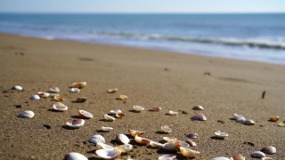 Fashion Stock Video, Sand, Beach, Sea, Rubbish, Soil