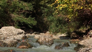 Fire Green Screen Video Download, River, Forest, Stream, Waterfall, Water