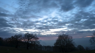 Footage Archive, Sky, Atmosphere, Landscape, Tree, Clouds