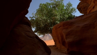 Footage Clips, Canyon, Rock, Desert, Sandstone, Landscape
