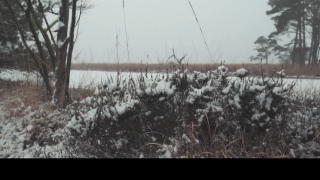 Footage Stock, Snow, Weather, Sky, Landscape, Tree