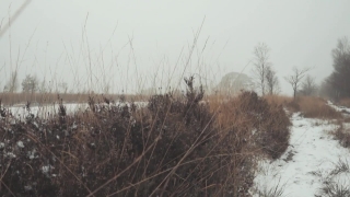 Footage To Use, Tree, Snow, Landscape, Winter, Sky