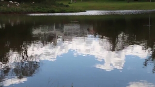 Footage Video No Copyright, Swamp, Lake, Water, Landscape, Wetland