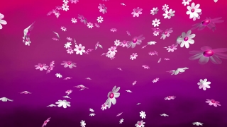 Free Best Animated Backgrounds, Bangle, Snow, Winter, Decoration, Card