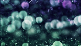 Free Business Stock Video - Stock Footage, Free Download, No Copyright, Royalty Free, HD, Archive
