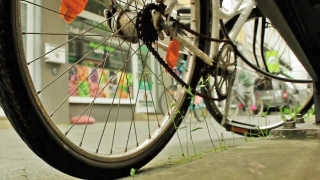 Free Footage Stock Websites, Spoke, Support, Device, Wheel, Bird