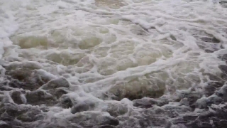 Free Forest Stock Video, Ice, Ocean, Crystal, Solid, Body Of Water