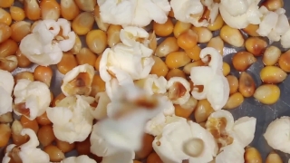 Free Glitch Stock Footage, Popcorn, Corn, Cereal, Food, Vegetable