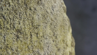Free Instrumentals For Youtube Videos, Flour, Rough, Texture, Stone, Material