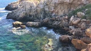 Free Loop Background, Water, Sea Lion, Rock, Stone, Eared Seal