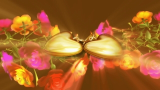 Free Motion Background Loops, Candle, Source Of Illumination, Flower, Flowers, Pink