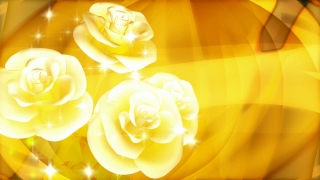 Free Moving Desktop Backgrounds, Rose, Silk, Flower, Petal, Yellow