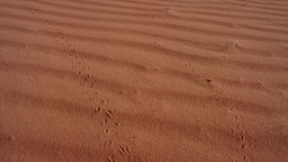 Free Nature 4k Video Mp4 Download, Sand, Dune, Soil, Earth, Texture