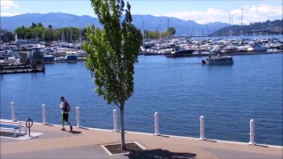 Free No Copyright Hd Videos, Lakeside, Marina, Shore, Water, Sea
