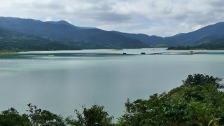 Free No Copyright Stock Footage No Watermark, Lake, Lakeside, Shore, Body Of Water, Water