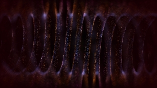 Free Open Source Stock Video, Coil Spring, Spring, Elastic Device, Arthropod, Millipede