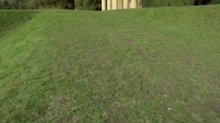 Free Stock Footage Video Clips, Grass, Field, Landscape, Lawn, Tree