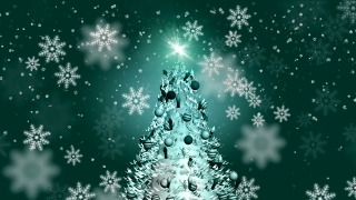 Free Stock Footages, Fir, Snow, Winter, Snowflake, Holiday