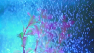 Free Thunderstorm Stock Footage, Wallpaper, Pattern, Color, Design, Texture