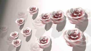 Free Video Background Animation, Confetti, Pink, Paper, Flower, Bride