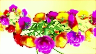 Free Video Backgrounds For, Tulip, Flower, Pink, Lilac, Colorful