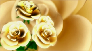 Free Video Editing Background, Rose, Flower, Roses, Wedding, Valentine