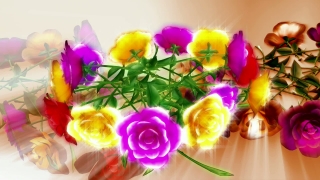 Free Video Motion Backgrounds, Bouquet, Arrangement, Tulip, Decoration, Flower Arrangement