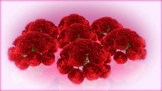 Free Videos For Website Background, Bouquet, Flower Arrangement, Arrangement, Decoration, Rose