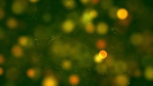 Golden Bokeh Background Video (Free Loop)