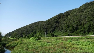 Green Screen Stock Footage, Landscape, Knoll, Tree, Mound, Mountain